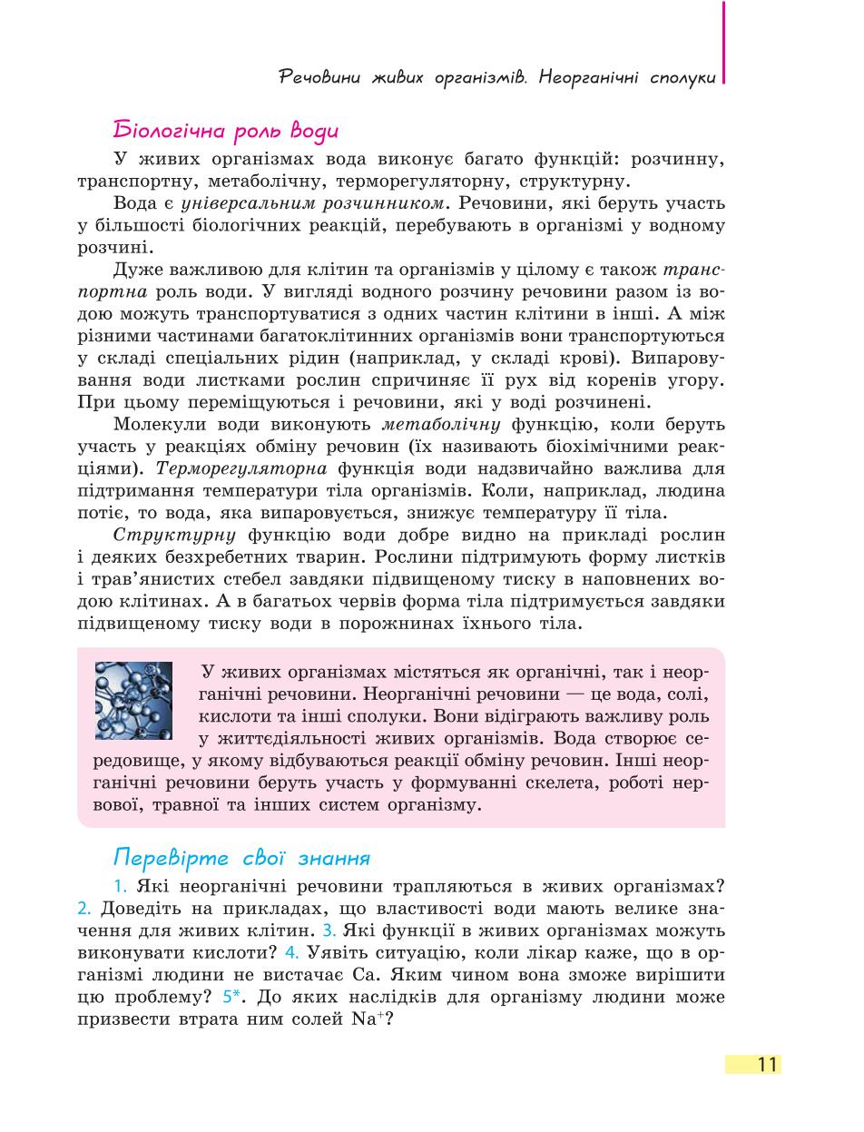 Мініатюра 11