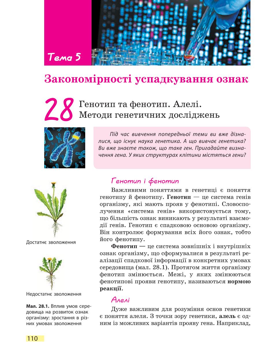 Мініатюра 110