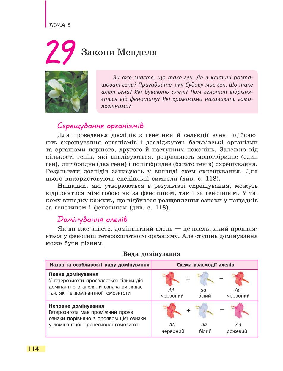 Мініатюра 114
