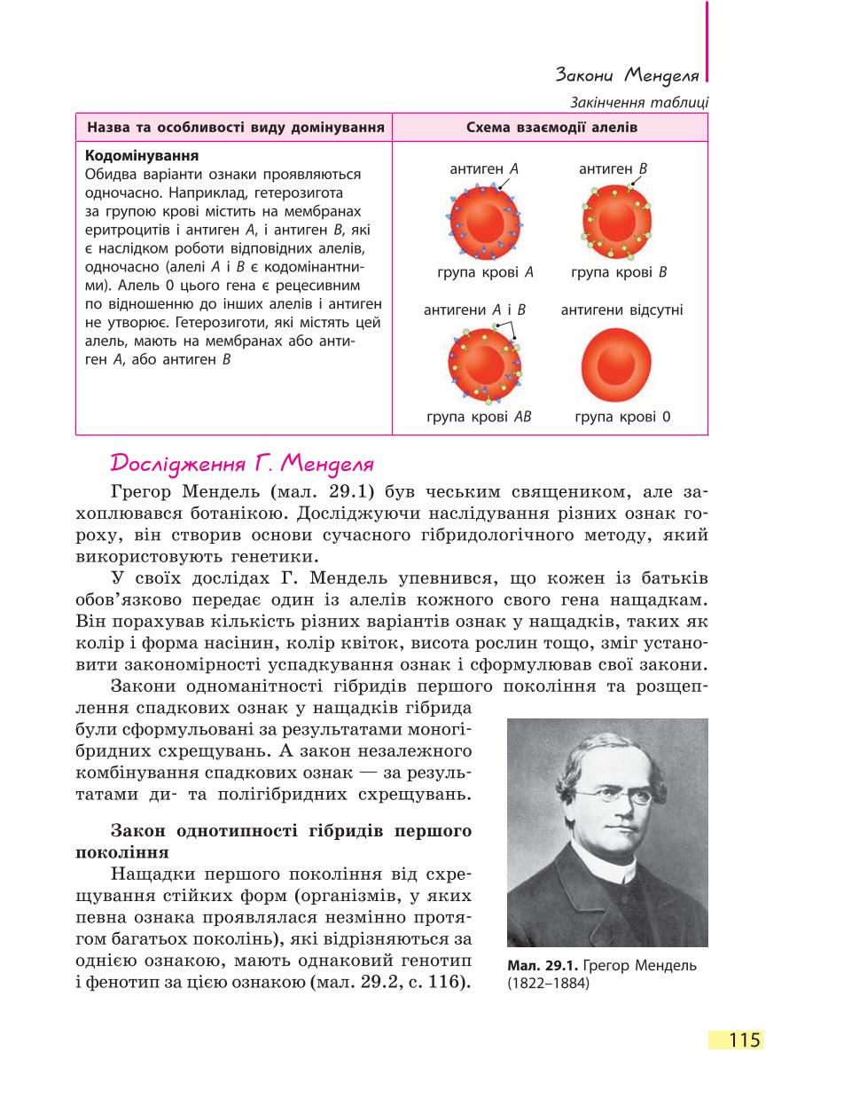 Мініатюра 115