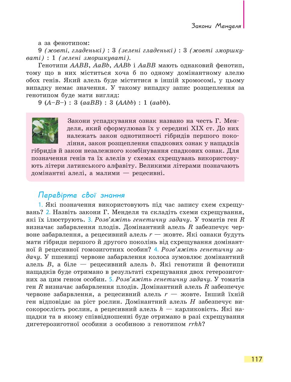 Мініатюра 117