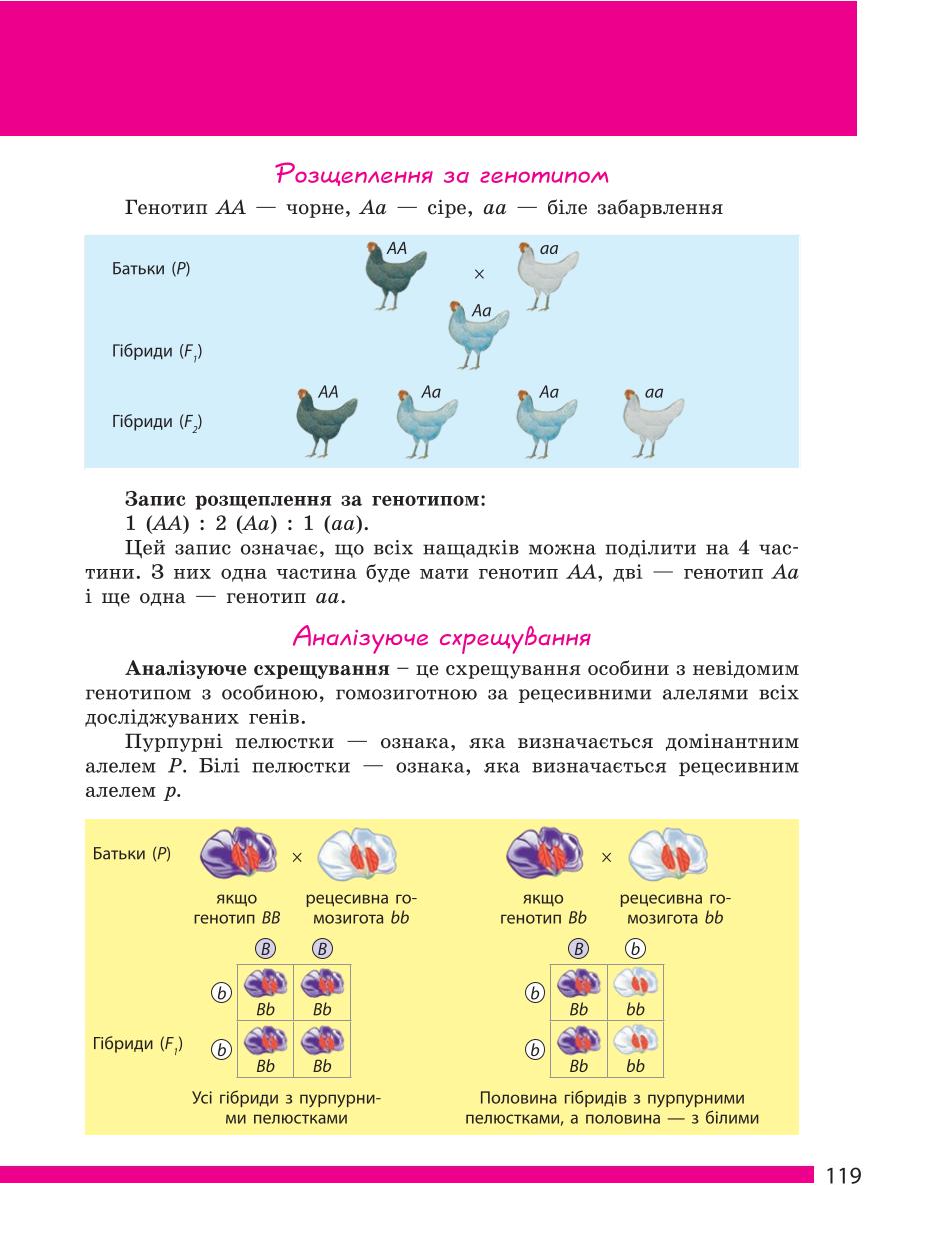 Мініатюра 119