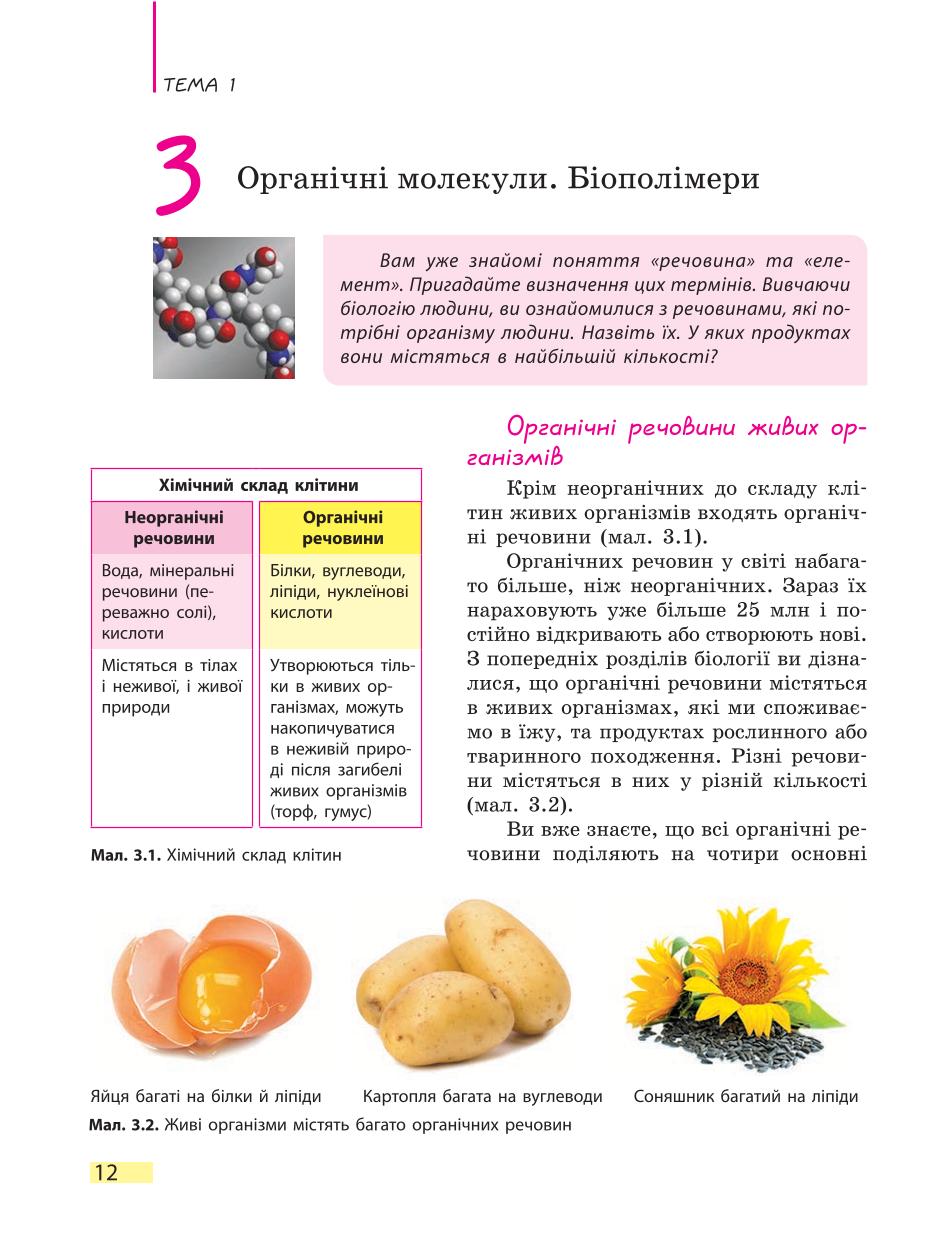 Мініатюра 12