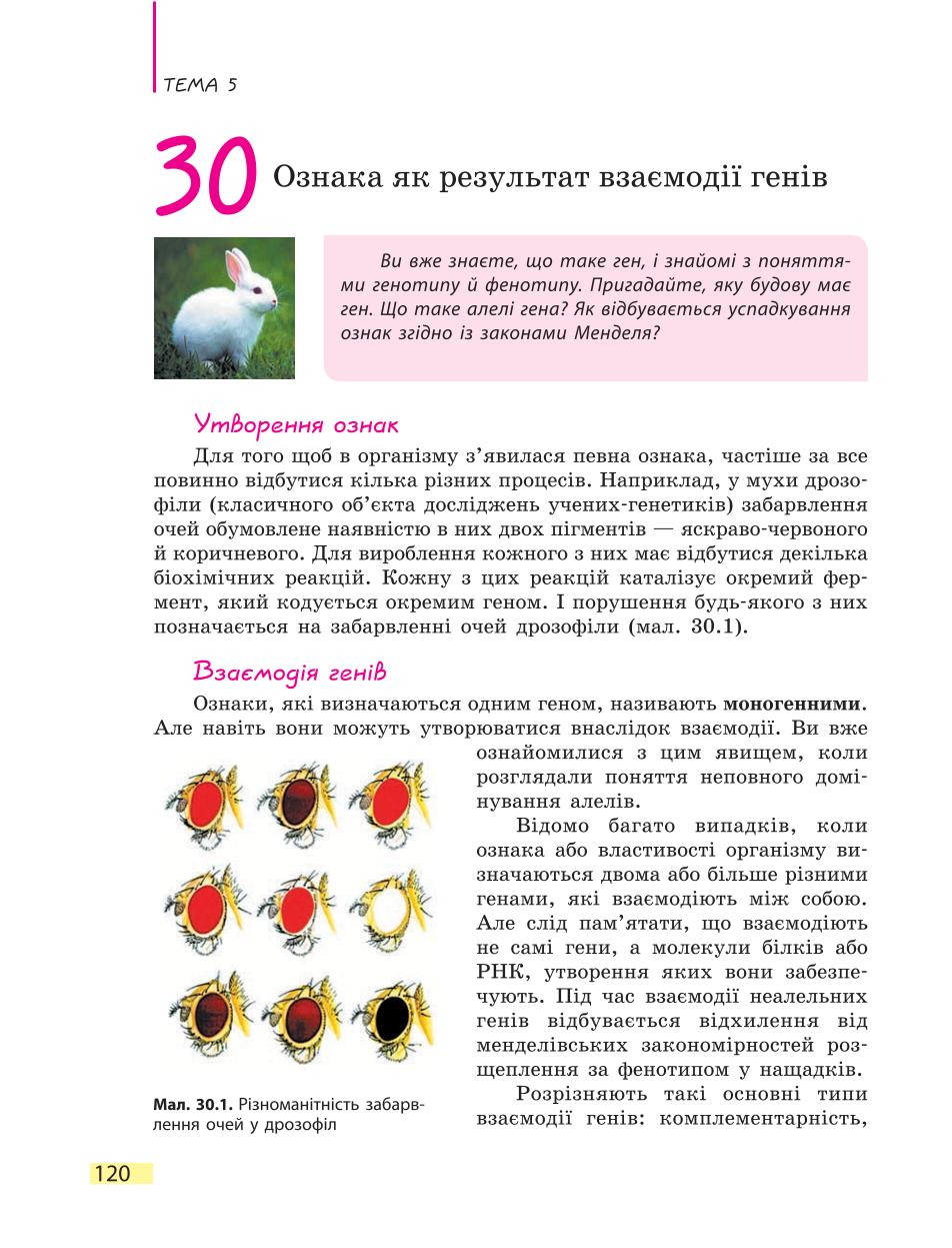 Мініатюра 120