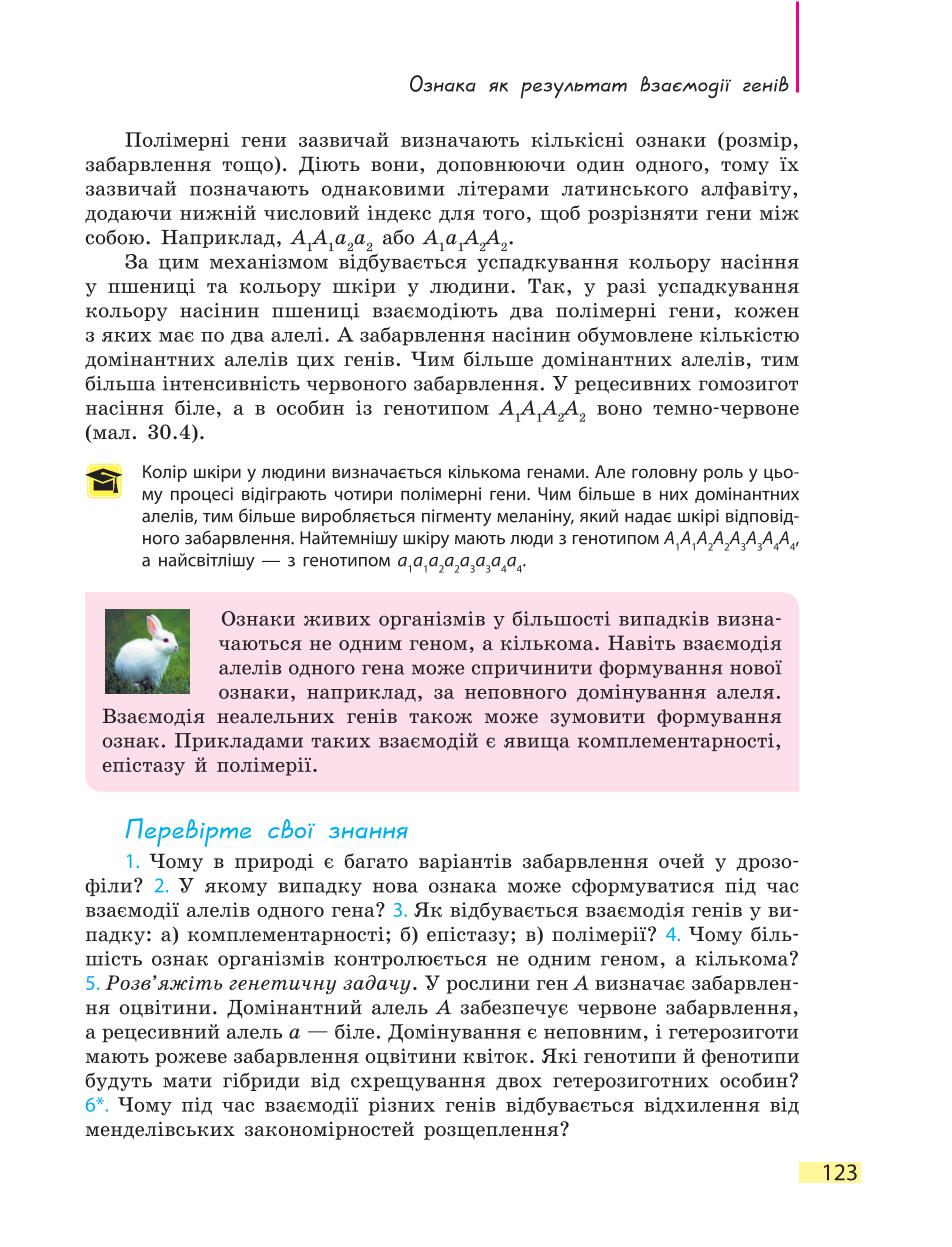Мініатюра 123