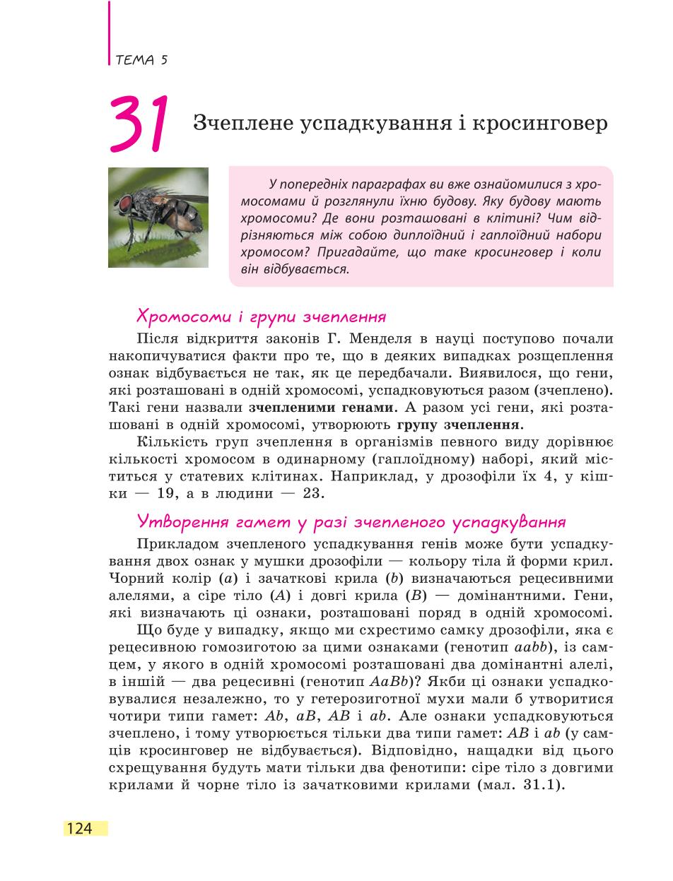 Мініатюра 124