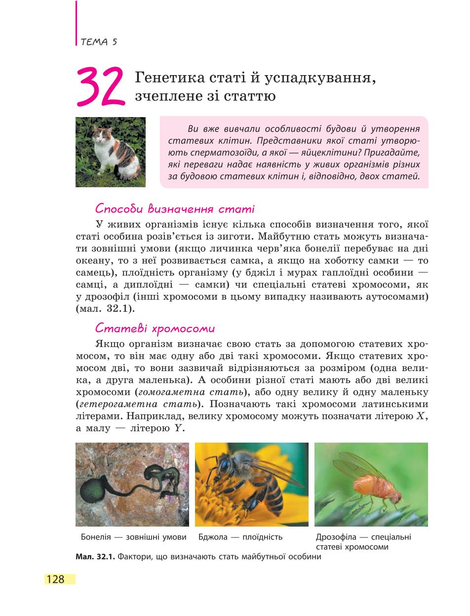 Мініатюра 128