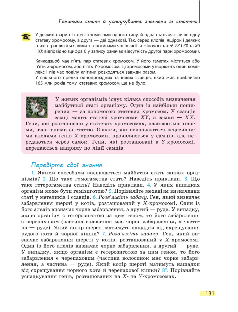 Мініатюра 131
