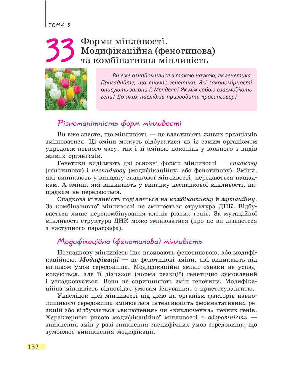 Мініатюра 132