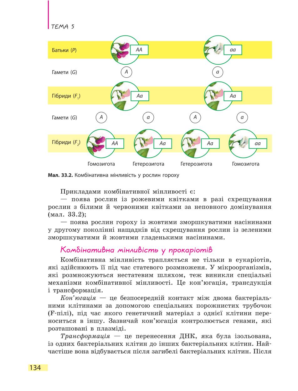 Мініатюра 134