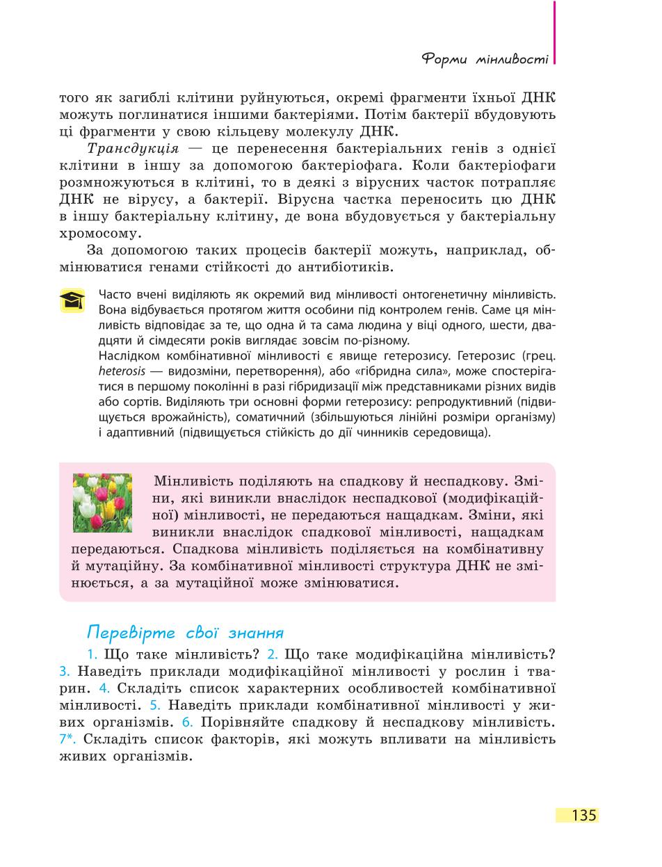 Мініатюра 135