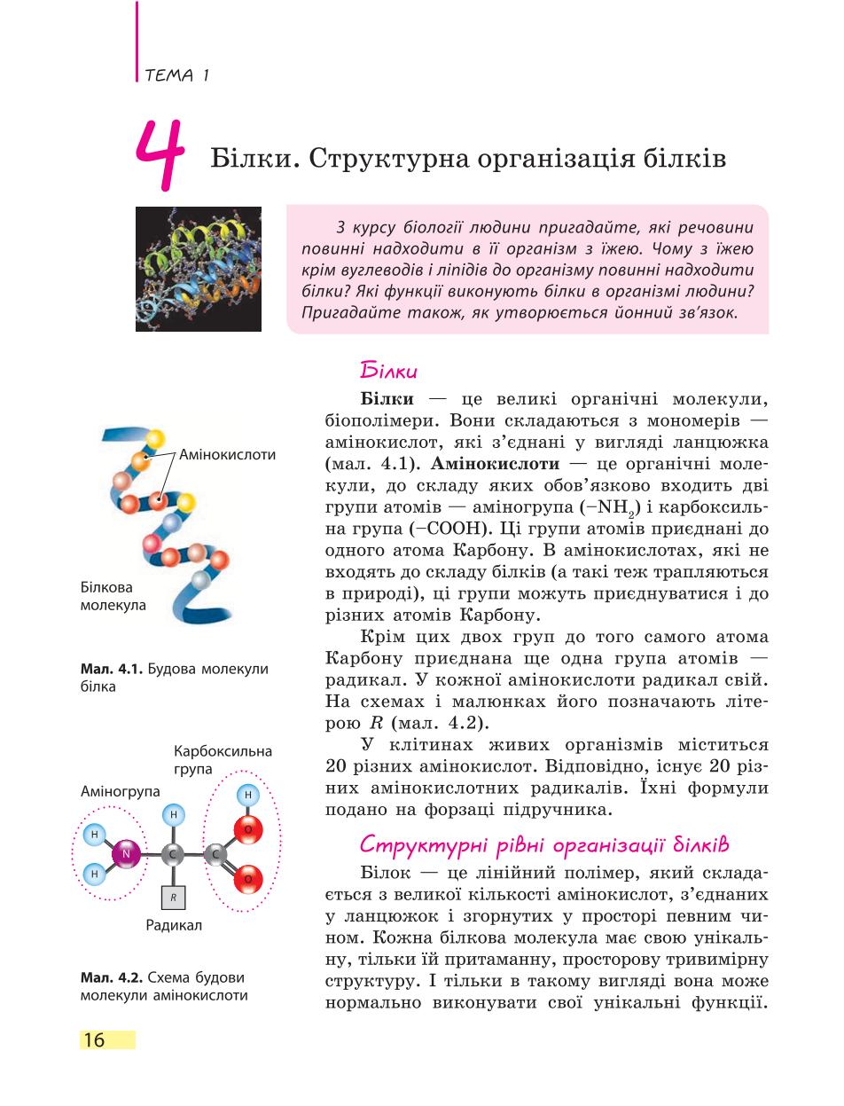 Мініатюра 16