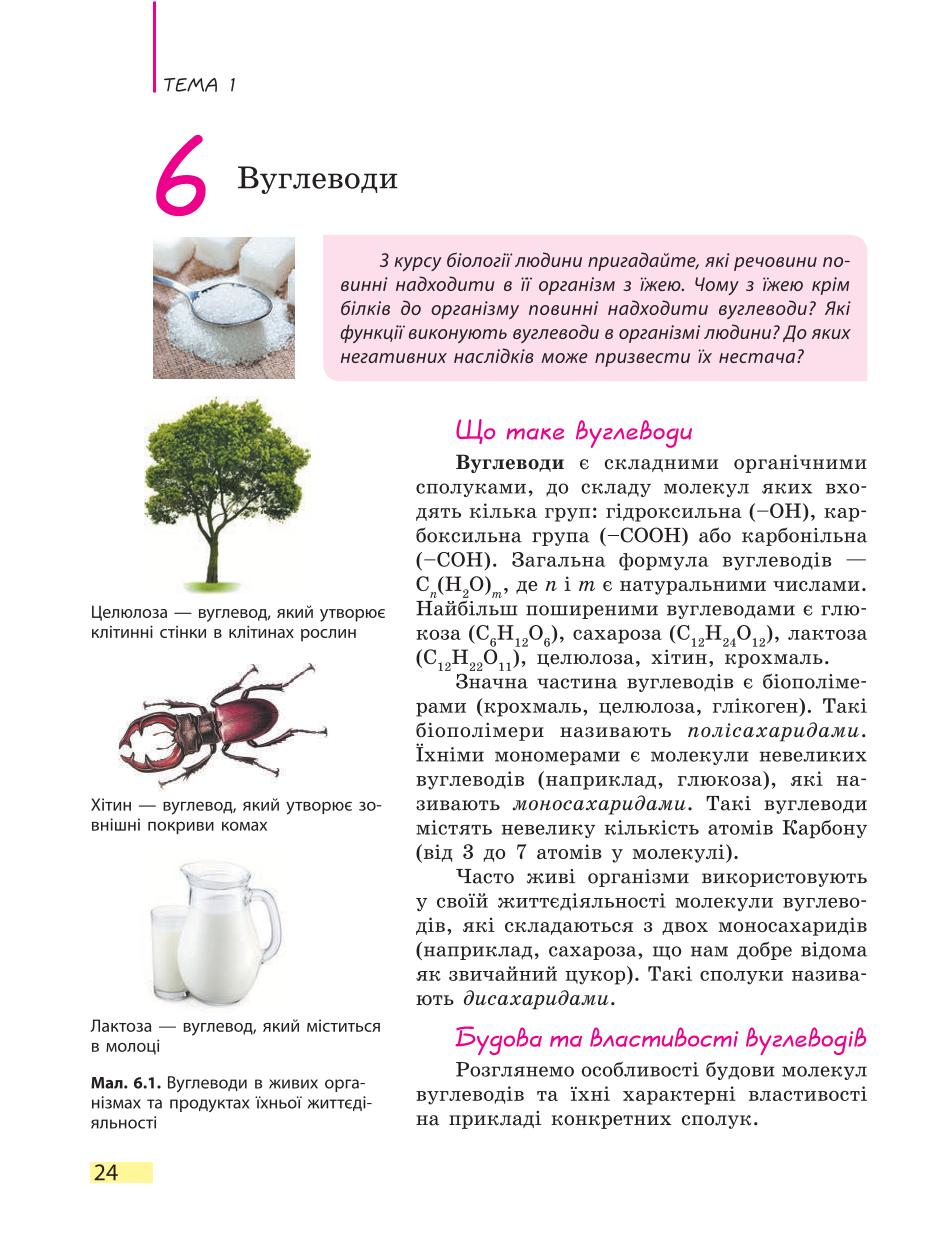 Мініатюра 24