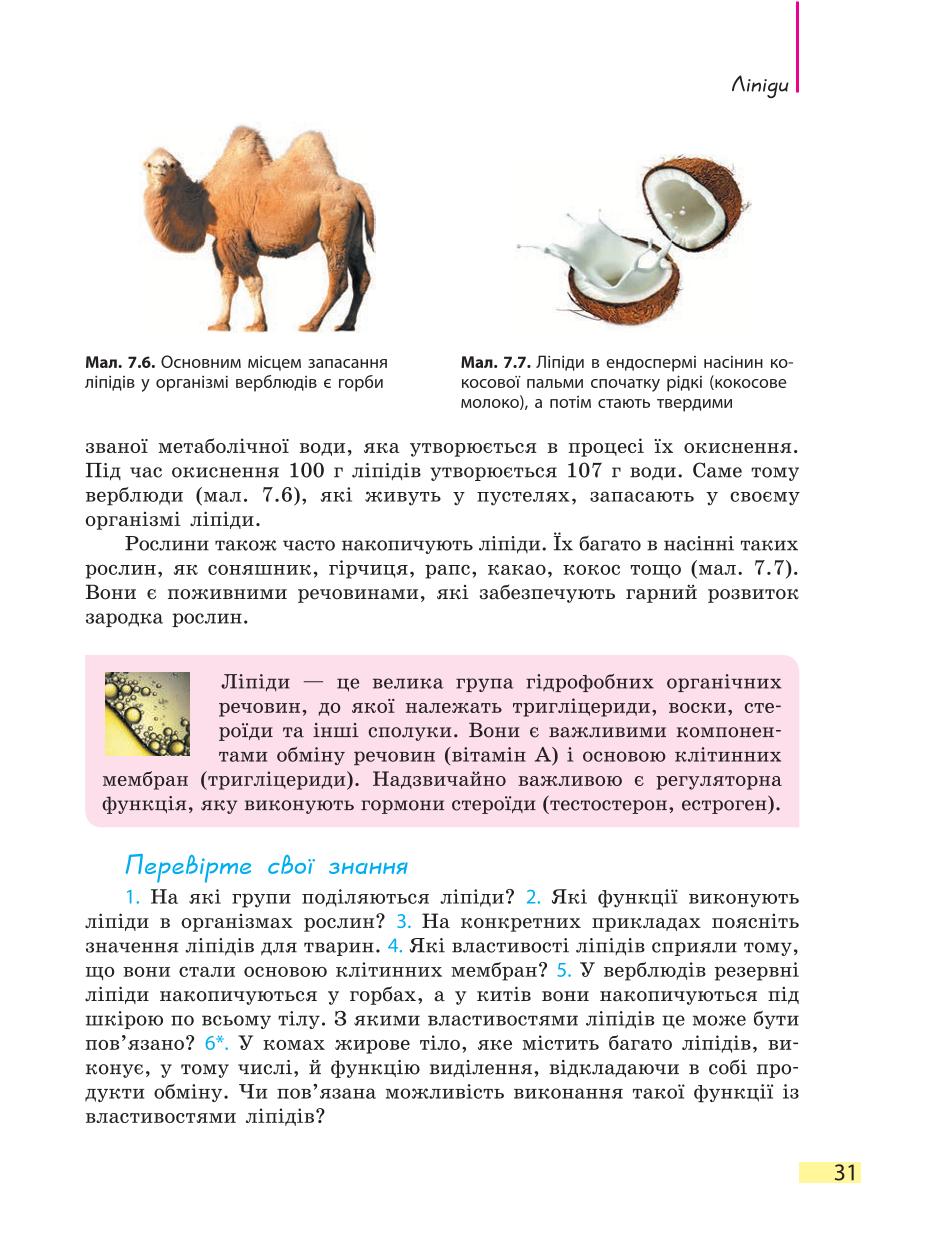 Мініатюра 31