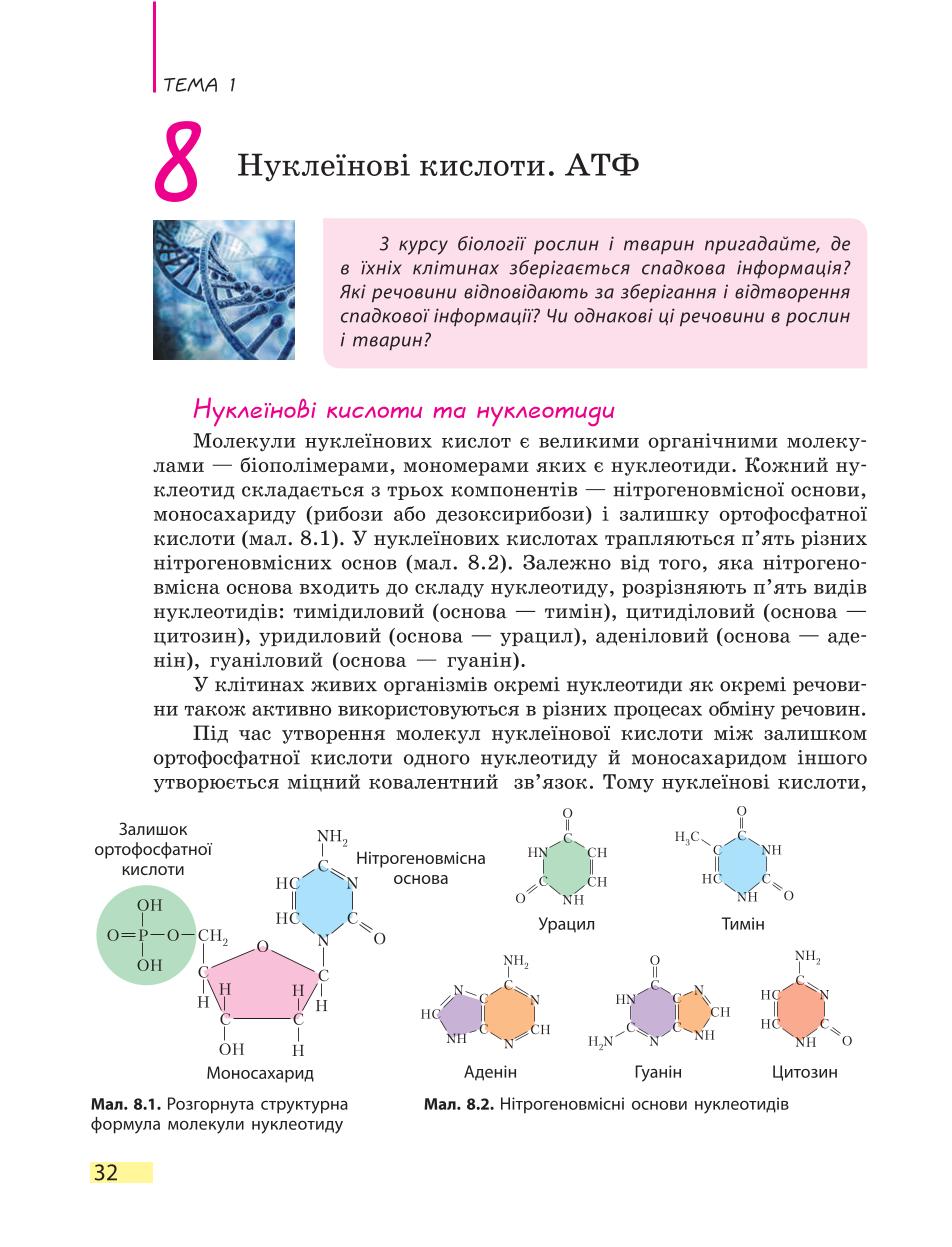 Мініатюра 32