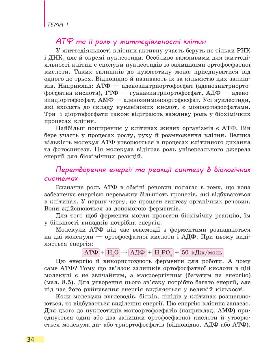 Мініатюра 34