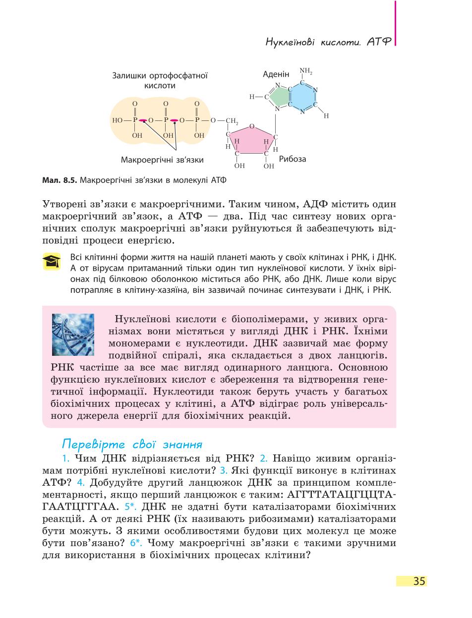 Мініатюра 35