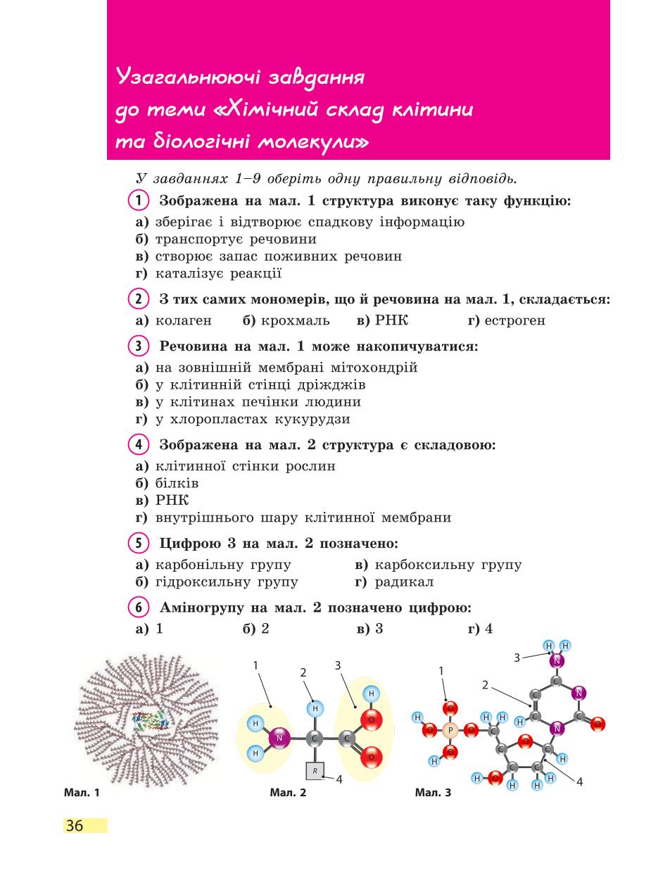Мініатюра 36