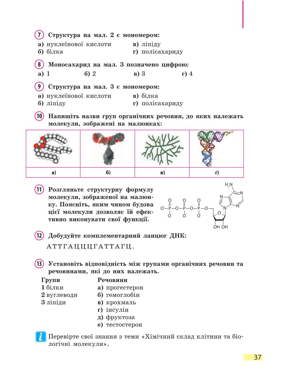 Мініатюра 37
