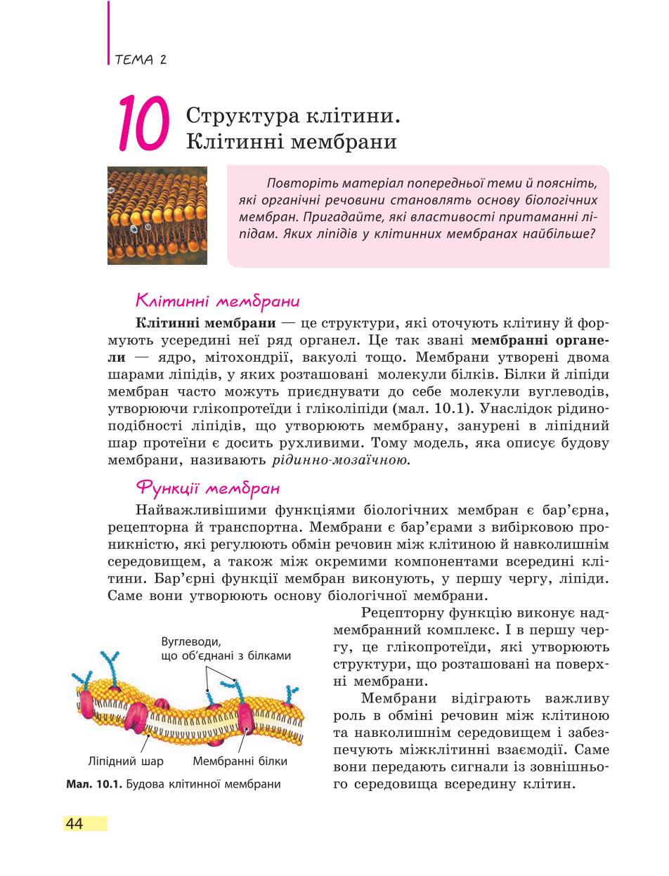 Мініатюра 44