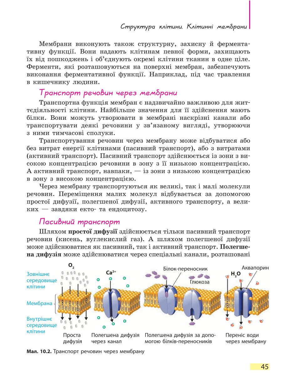 Мініатюра 45