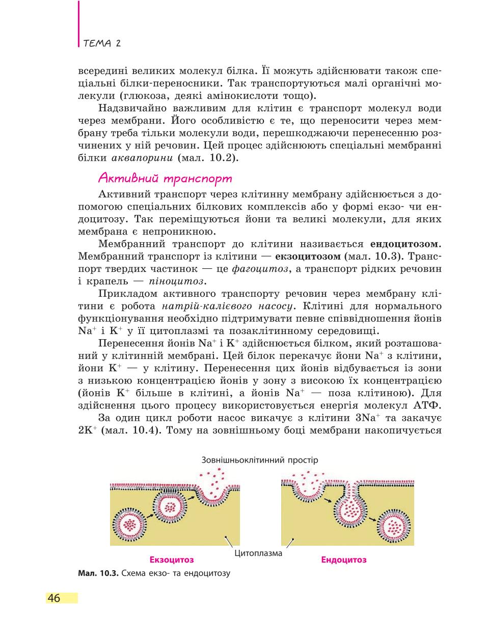 Мініатюра 46