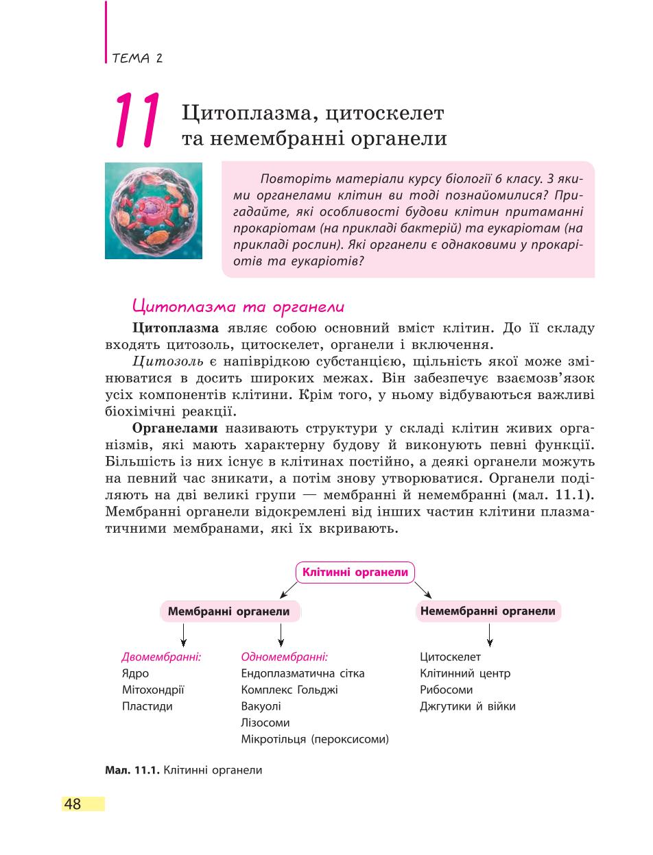 Мініатюра 48