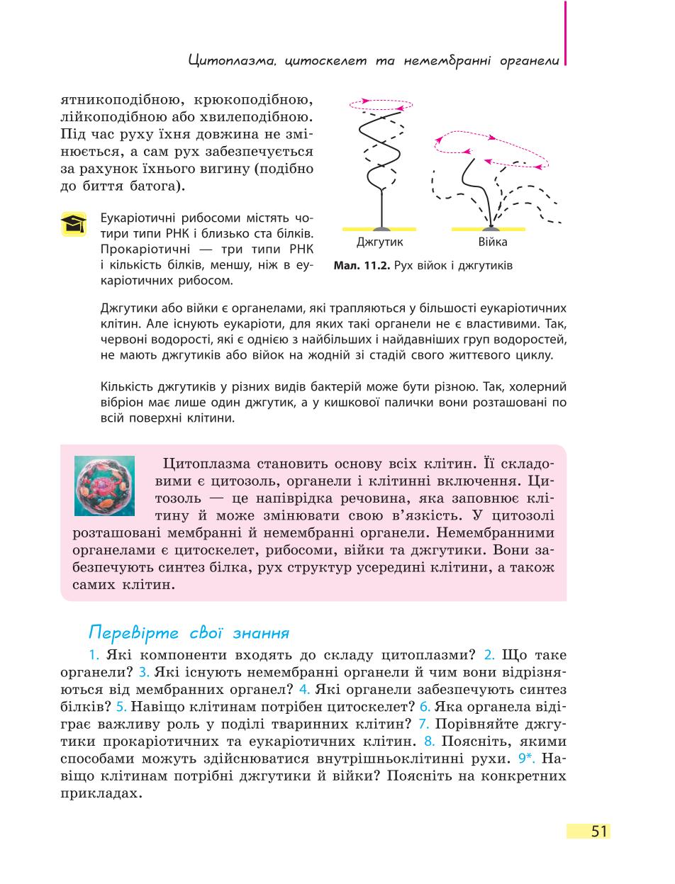 Мініатюра 51