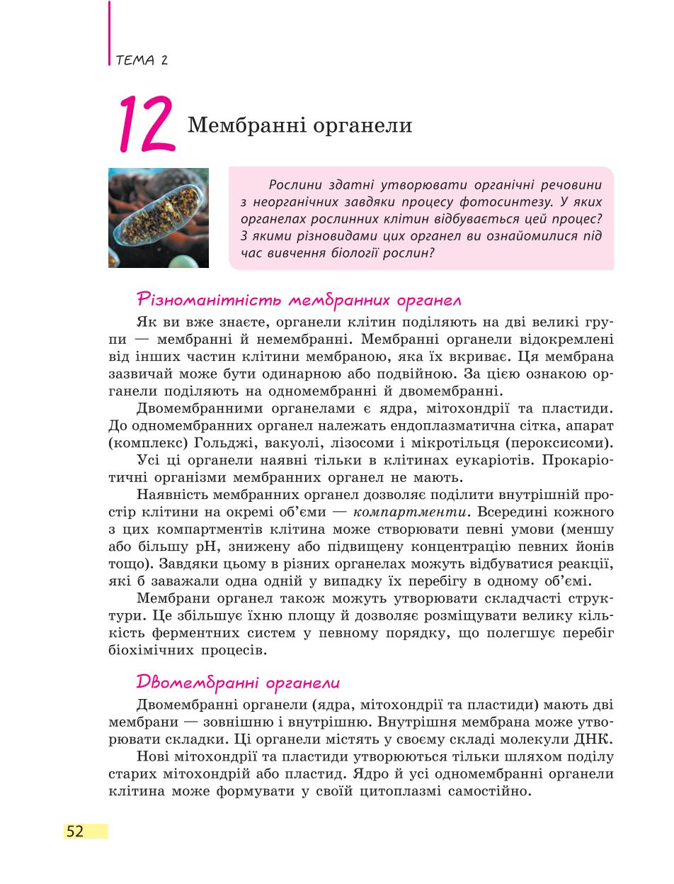 Мініатюра 52