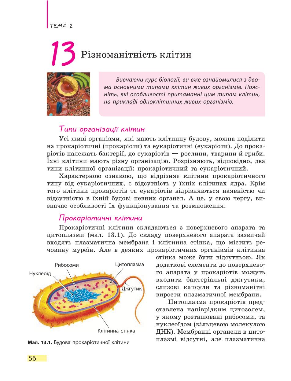 Мініатюра 56