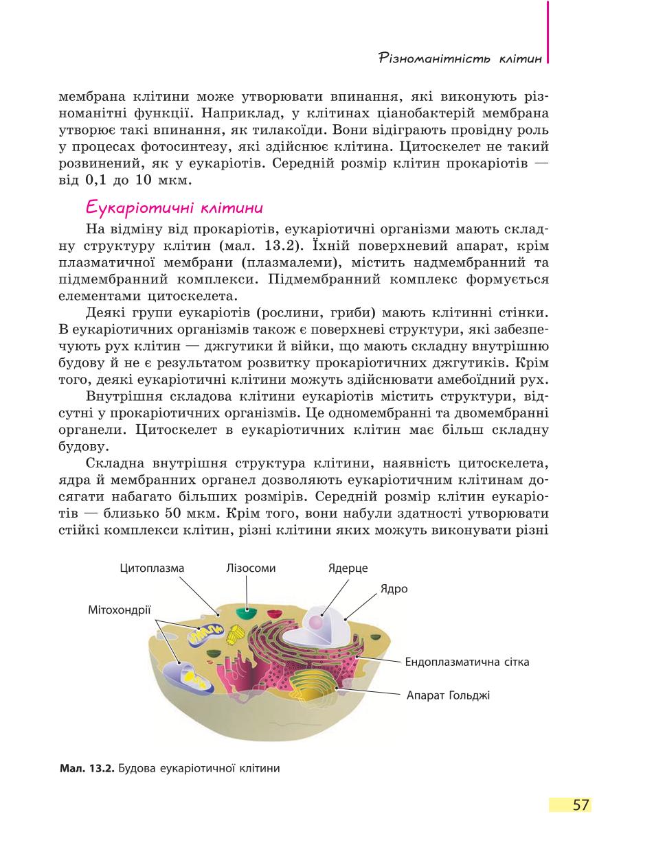 Мініатюра 57