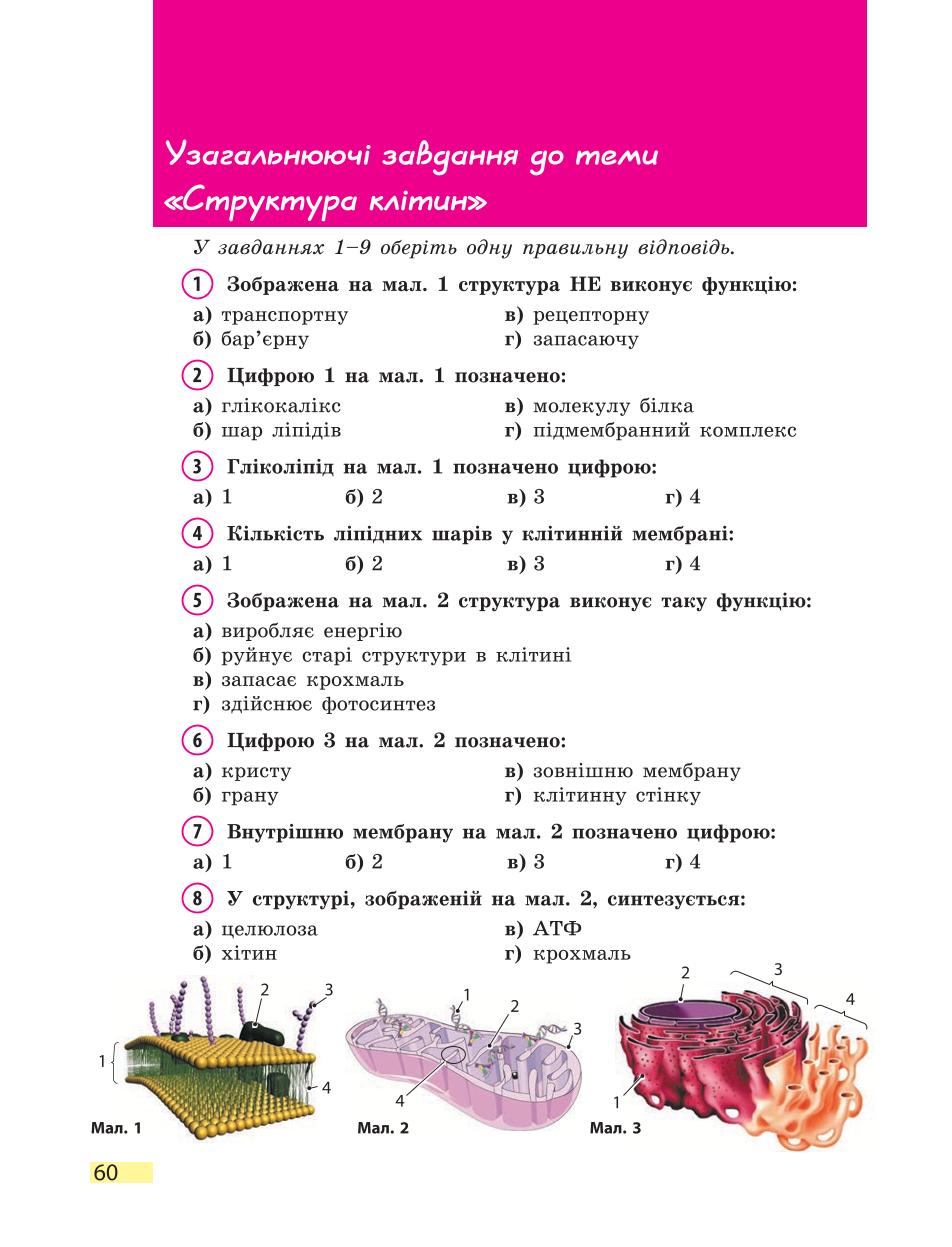 Мініатюра 60