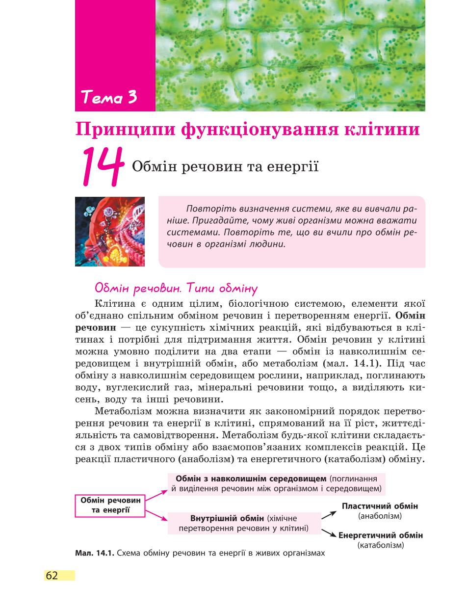 Мініатюра 62