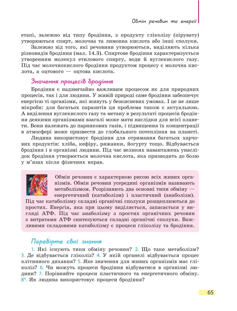 Мініатюра 65
