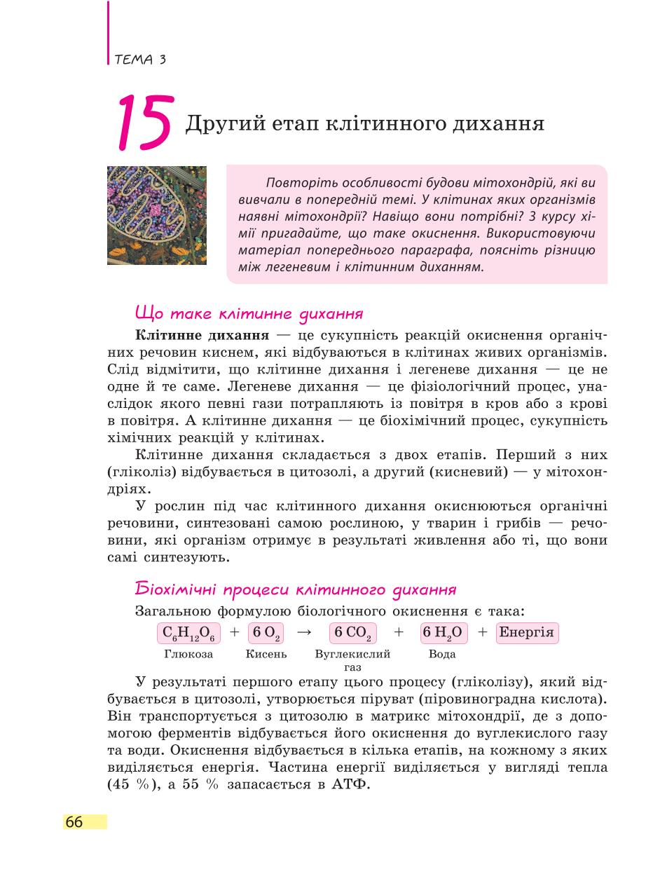 Мініатюра 66