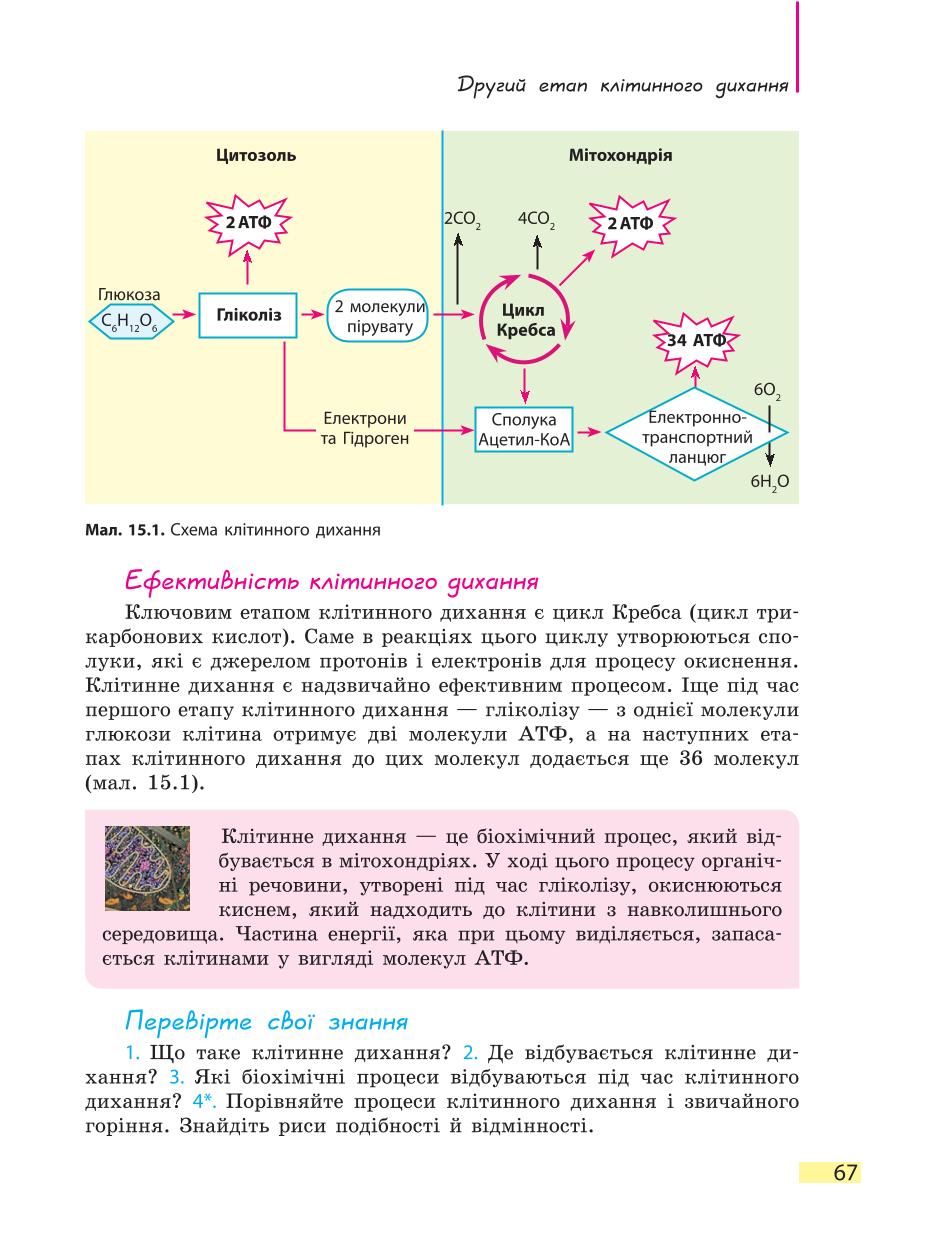 Мініатюра 67