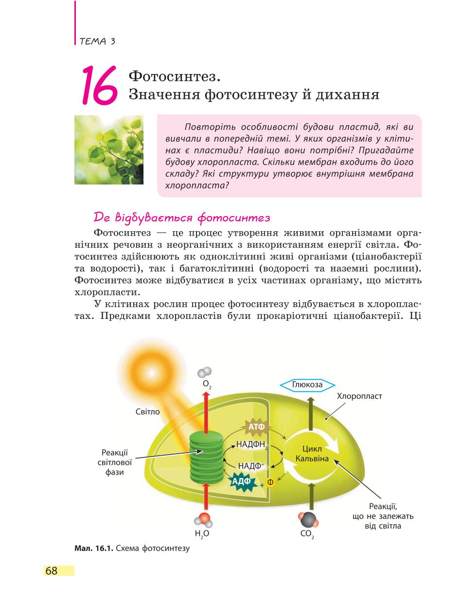 Мініатюра 68