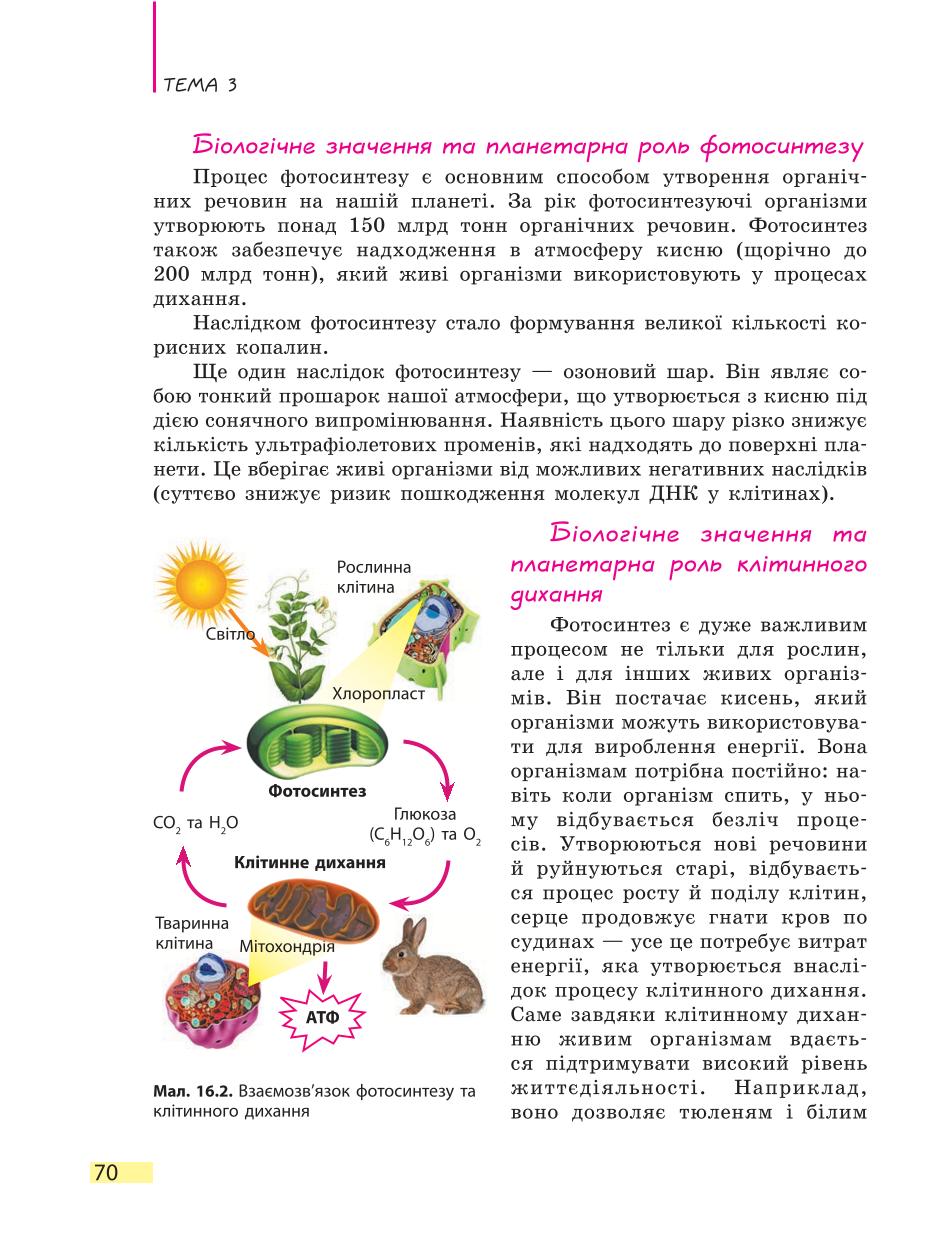 Мініатюра 70