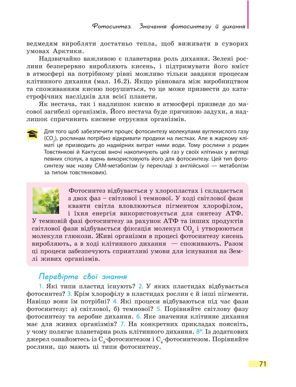 Мініатюра 71