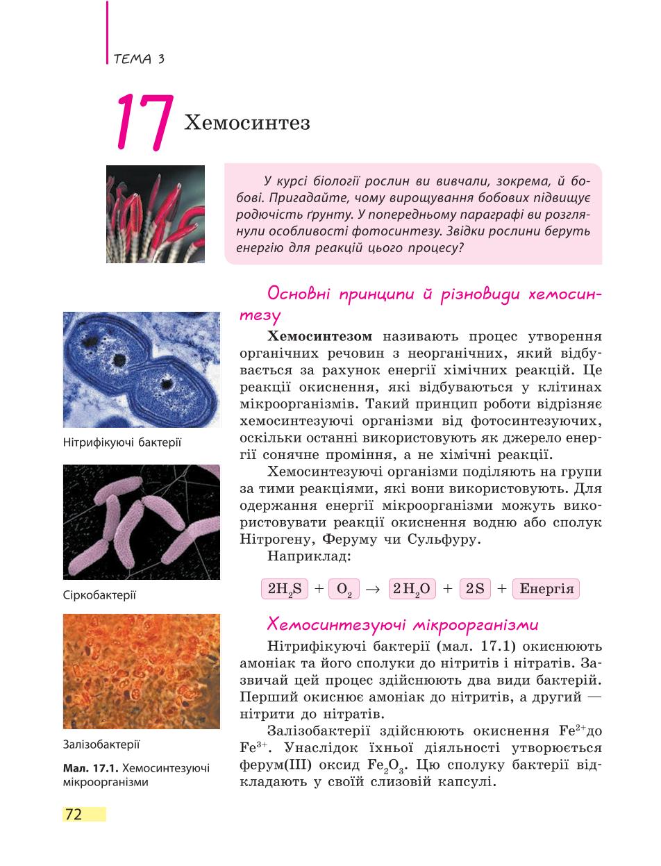 Мініатюра 72