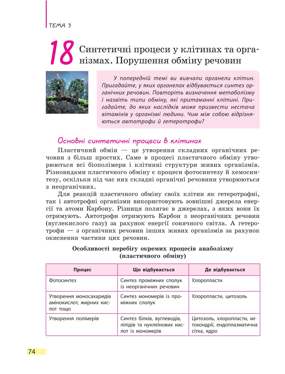 Мініатюра 74