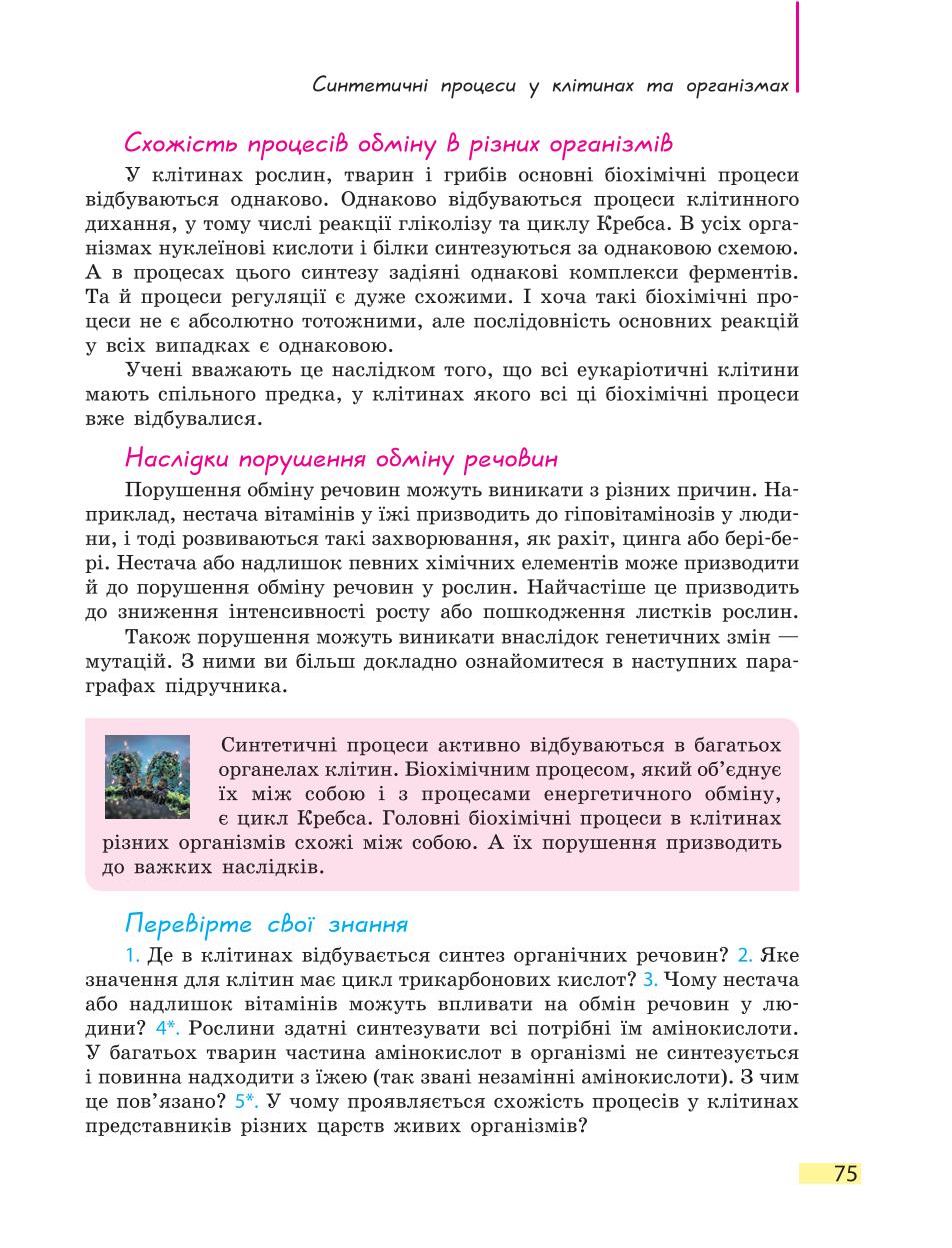 Мініатюра 75