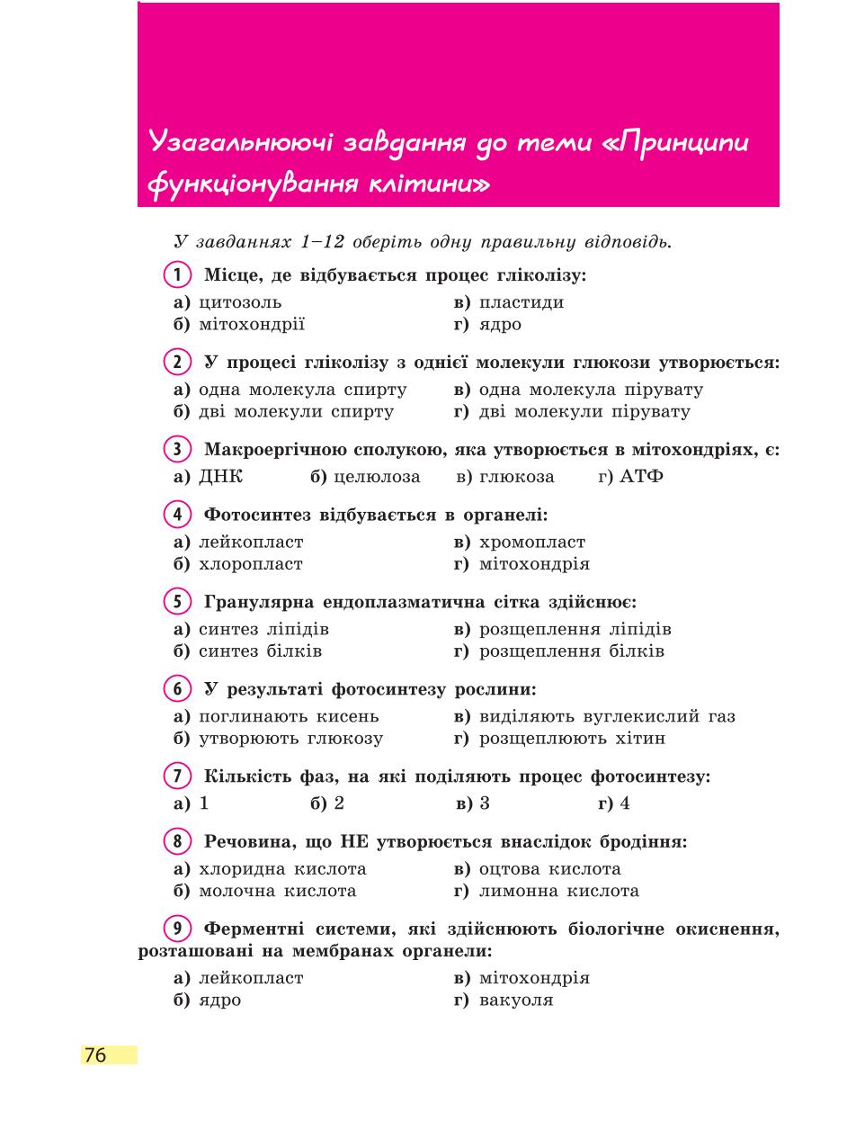 Мініатюра 76