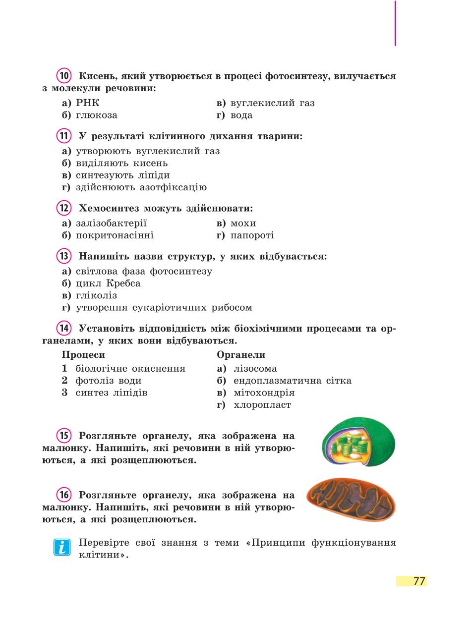 Мініатюра 77