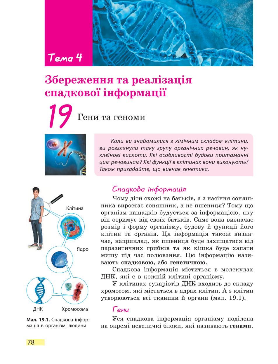 Мініатюра 78