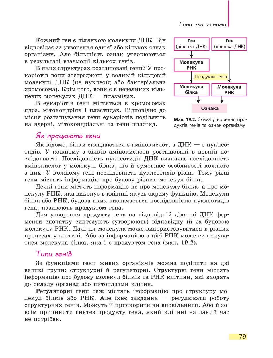 Мініатюра 79