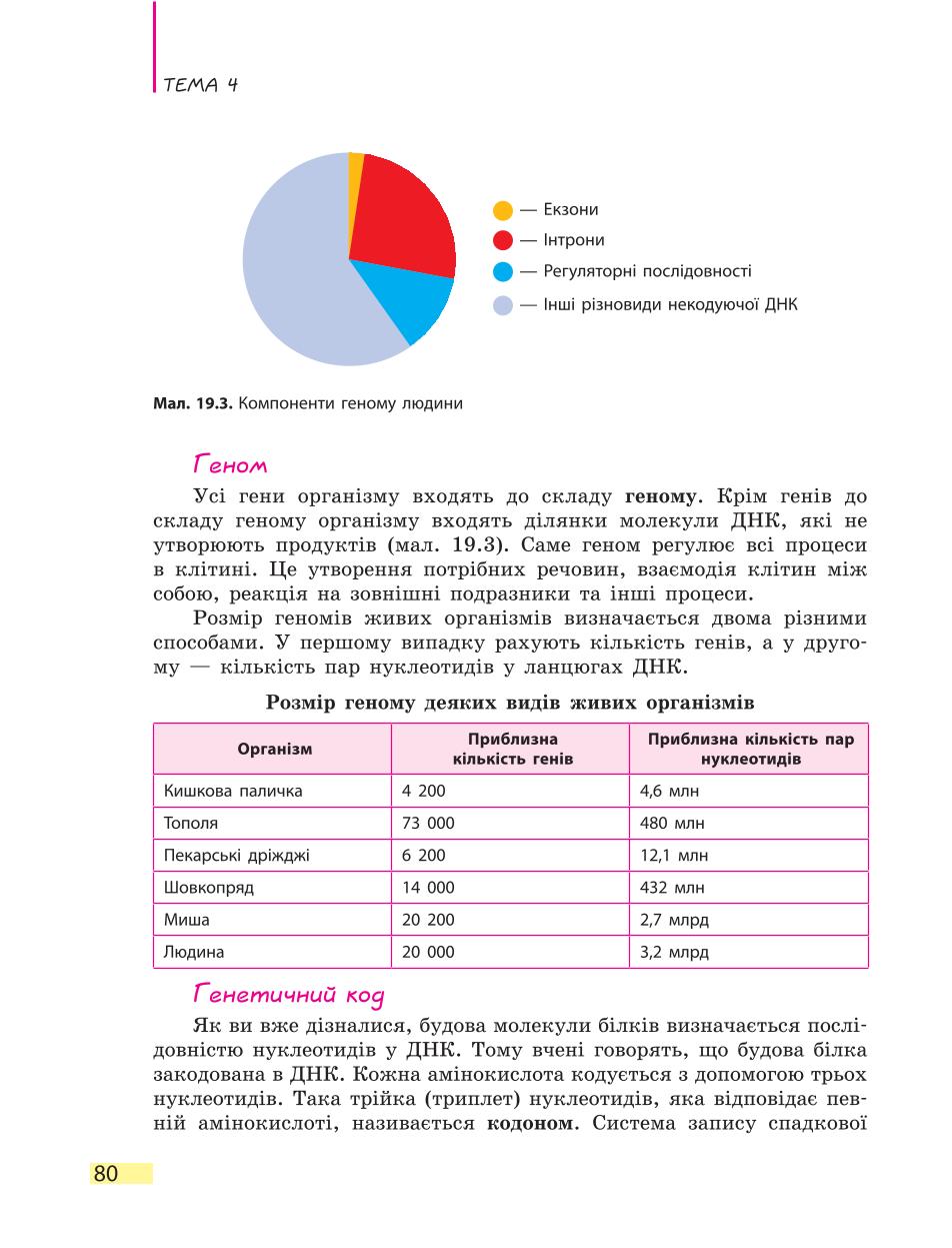 Мініатюра 80