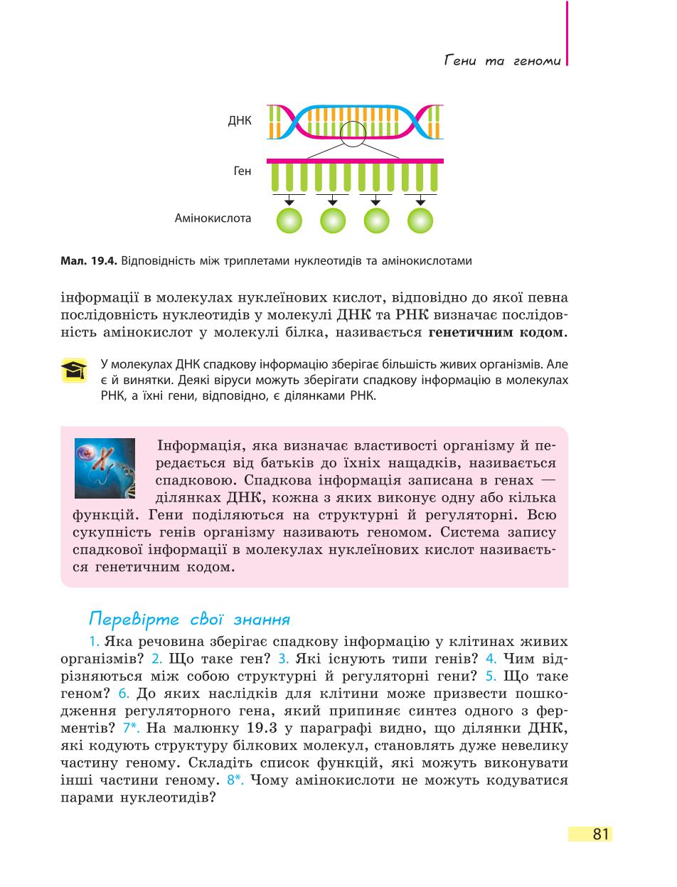 Мініатюра 81