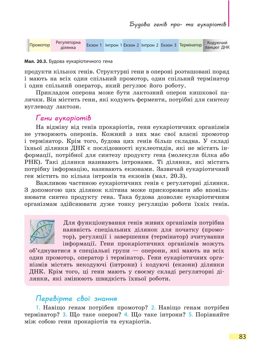Мініатюра 83