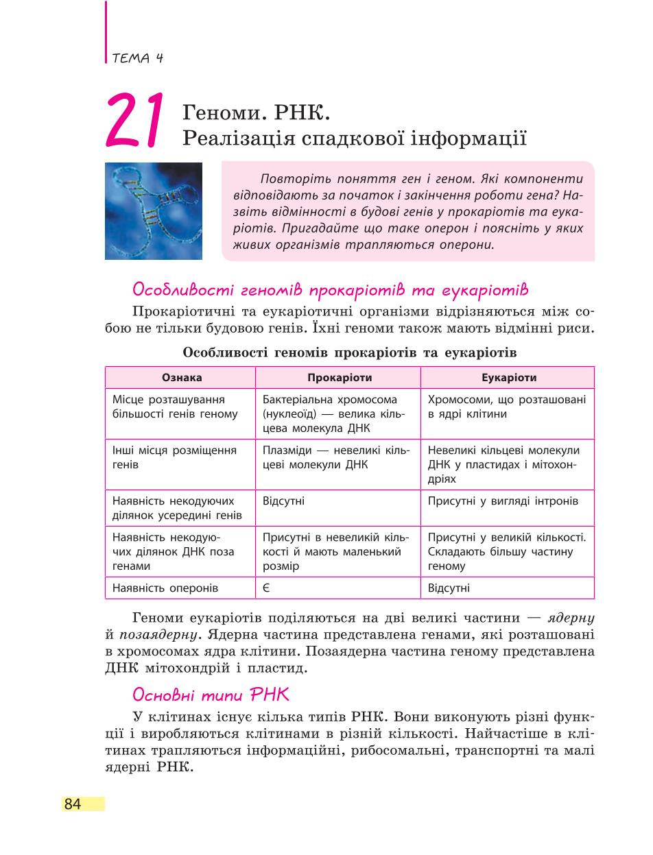 Мініатюра 84